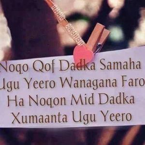 Meet your Posher, Abdiresaq